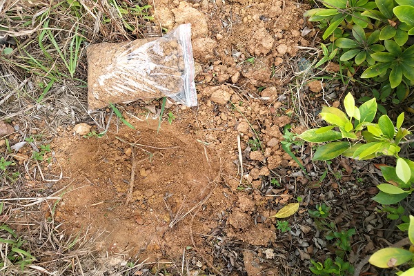 廣西土壤如何檢測(cè) 廣西土壤如何檢測(cè)