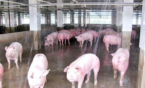 屠宰場(chǎng)廢水檢測(cè)項(xiàng)目 屠宰場(chǎng)廢水檢測(cè)項(xiàng)目