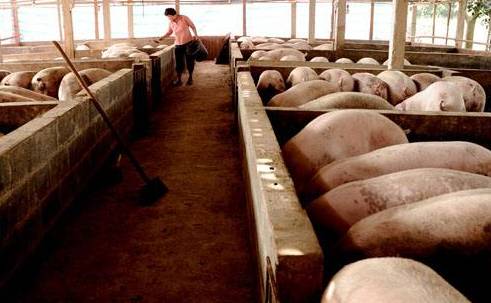 養(yǎng)豬場廢水檢測 養(yǎng)豬場廢水檢測