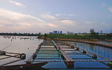 漁業(yè)水質(zhì)檢測 漁業(yè)水質(zhì)檢測