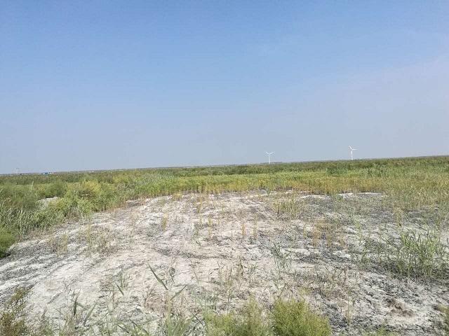 廣西土壤檢測(cè)怎么做 廣西土壤檢測(cè)怎么做